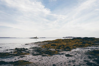 HomePage
